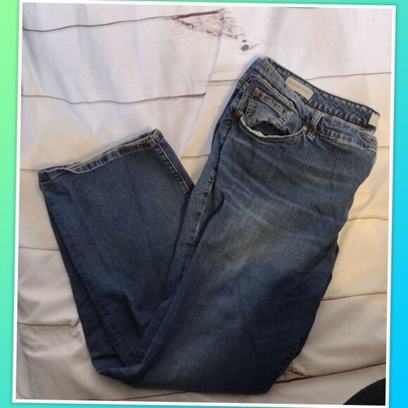 Torrid Jeans Size 22S Womens Relaxed Boot Cut Stretch Medium Wash Blue Denim ins - Picture 2 of 5
